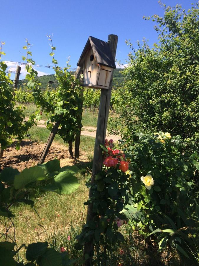 Gite Le Mandlé Riquewihr Bagian luar foto