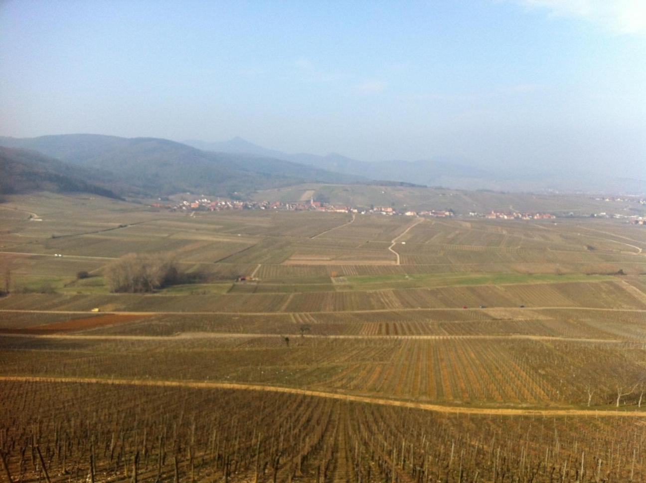 Gite Le Mandlé Riquewihr Bagian luar foto