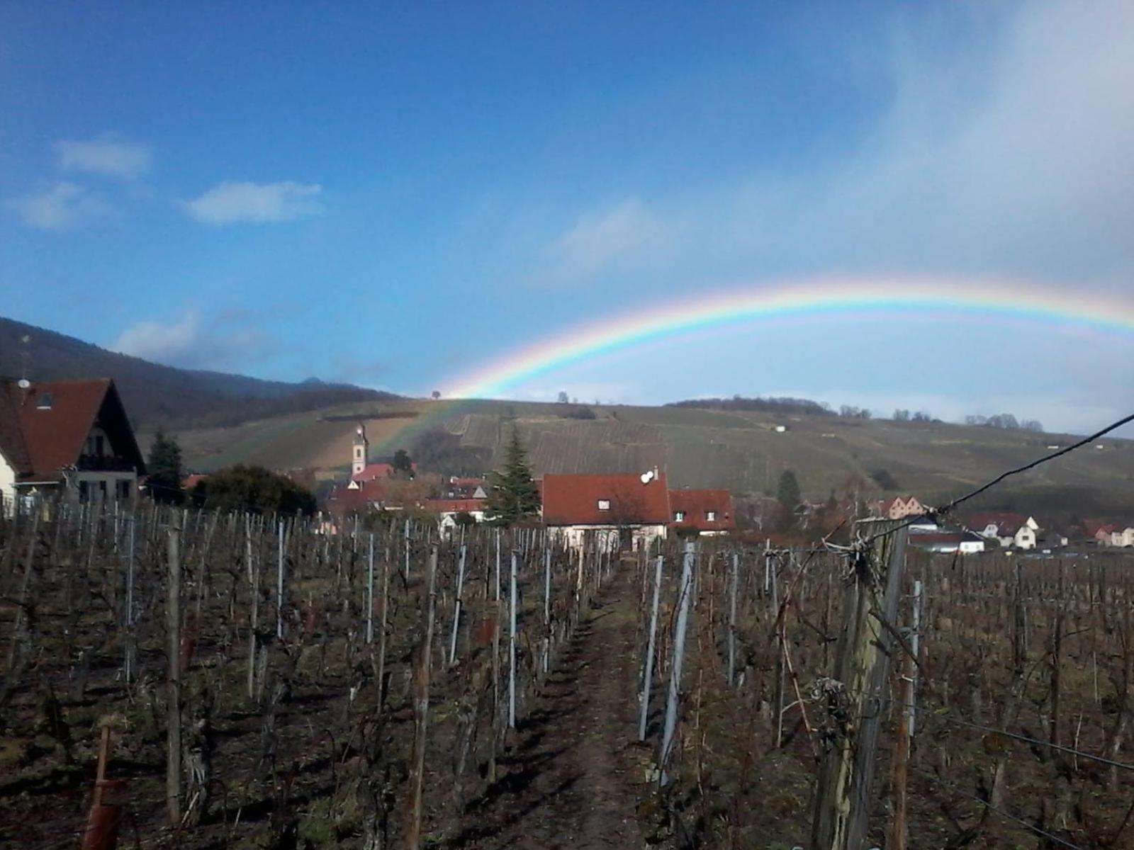 Gite Le Mandlé Riquewihr Bagian luar foto
