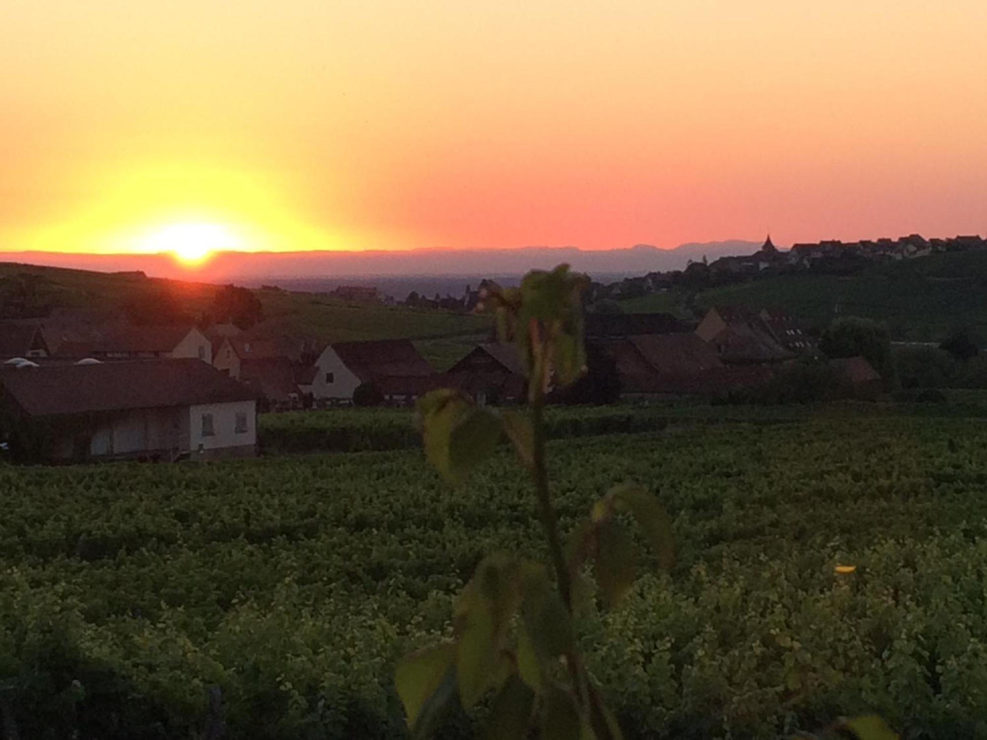 Gite Le Mandlé Riquewihr Bagian luar foto