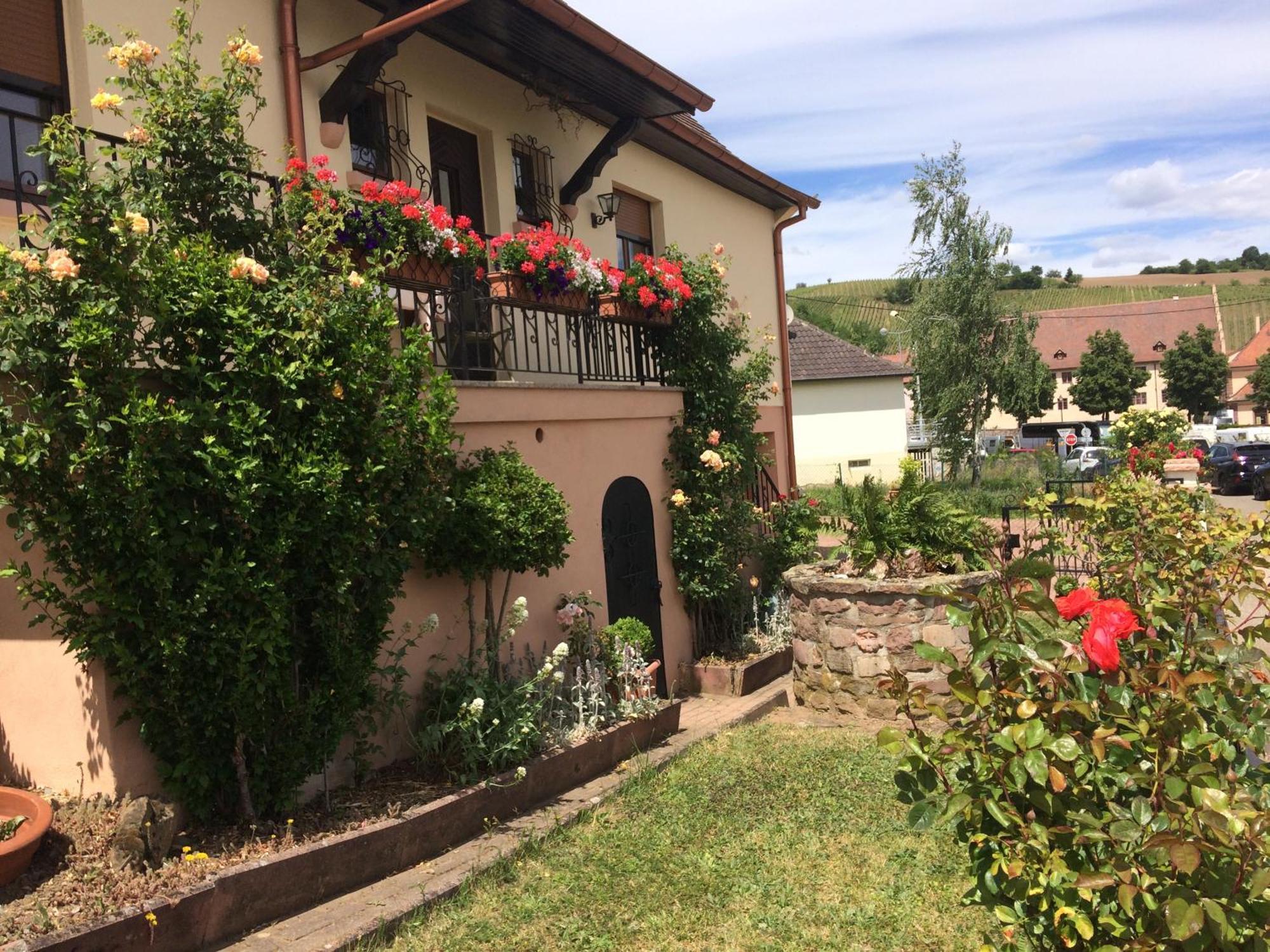 Gite Le Mandlé Riquewihr Bagian luar foto
