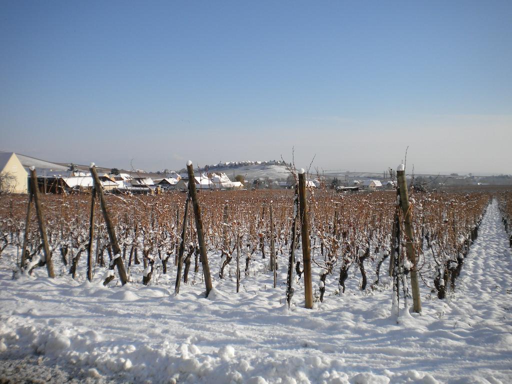 Gite Le Mandlé Riquewihr Ruang foto