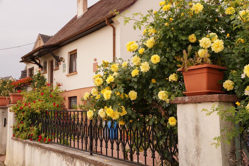 Gite Le Mandlé Riquewihr Ruang foto