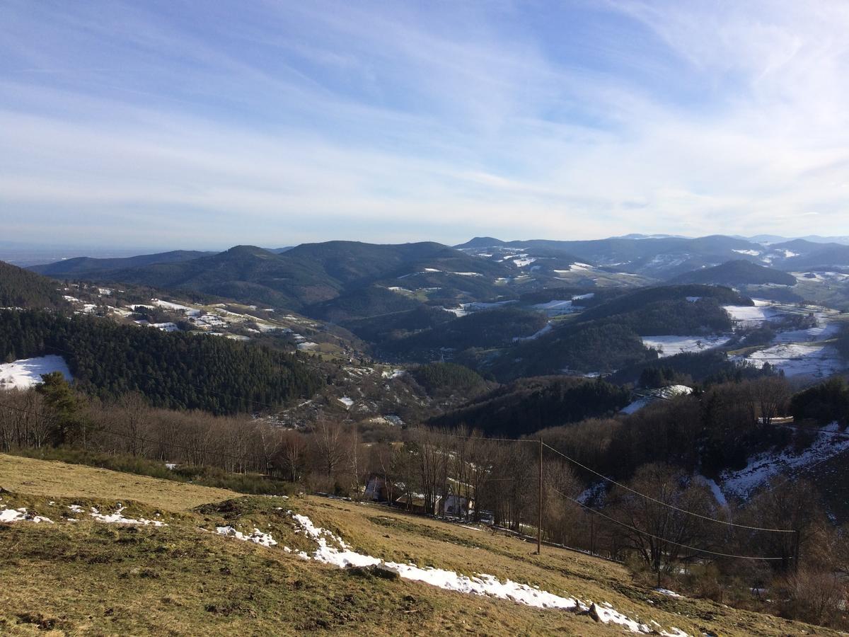 Gite Le Mandlé Riquewihr Bagian luar foto
